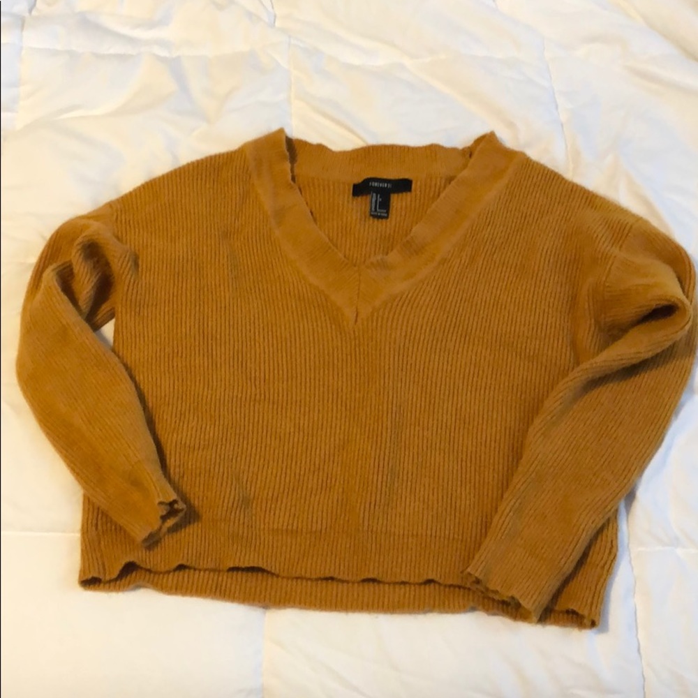 Forever 21 cropped sweater